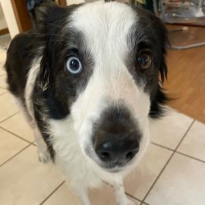 Meet your Posher, Chloey